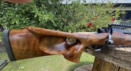 IMG_3725.jpeg