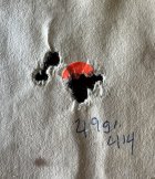 IMG_3731.jpeg