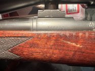 IMG_6291.jpeg