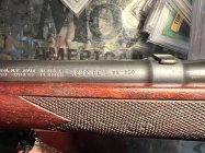 IMG_6288.jpeg