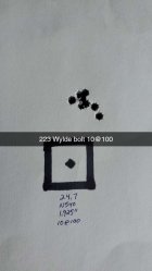Snapchat-487360521.jpg
