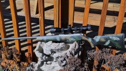 Say compled rifle.jpg