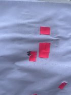IMG_6570.jpeg