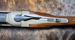 IMG_1258.jpeg