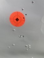 IMG_7516.jpeg