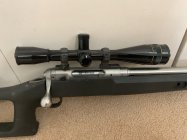 IMG_0082.jpeg