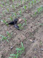 IMG_8148.jpeg