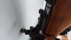 IMG_20250513_121228579.jpg