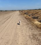 IMG_0336.jpeg