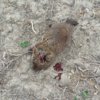 20170609_163450.jpg