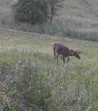 IMG_8791.jpeg