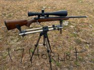 IMG_5037.jpeg