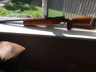 IMG_0031.jpeg