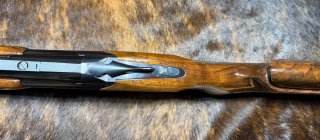 IMG_1356.jpeg