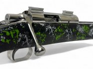 DS2010rifle (2).jpg