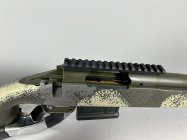 SA 6.jpg