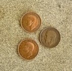 IMG_5351.jpeg
