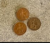 IMG_5352.jpeg