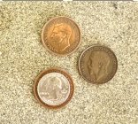 IMG_5354.jpeg