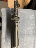 IMG_7103.jpeg