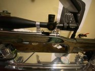 IMG_3771.jpeg
