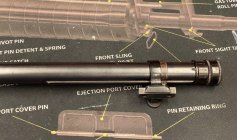 IMG_1955.jpeg