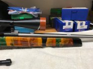 IMG_0667.jpeg