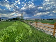 IMG_4029.jpeg