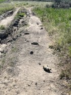 IMG_1714.jpeg