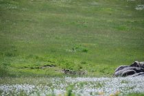 DSC_0035.JPG DSC_0035.JPG