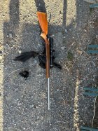 IMG_1534.jpeg