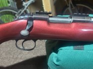 IMG_9052.jpeg