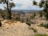 IMG_0096.jpeg