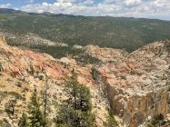 IMG_0102.jpeg