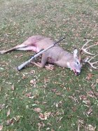 IMG_2725.jpeg