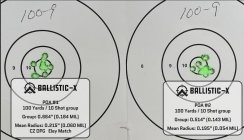 CZ DPG 100-9 Target.jpg