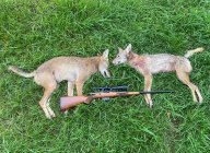 IMG_8943.jpeg