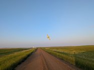 PXL_20250607_015825926.MP.jpg