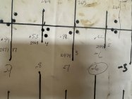 IMG_2477.jpeg