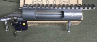 IMG_2273.jpeg