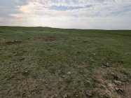 PXL_20250607_232101383.jpg