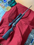 IMG_3100.jpeg