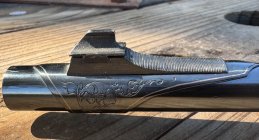 IMG_3889.jpeg