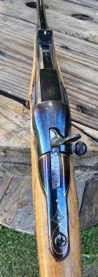IMG_3900.jpeg