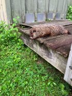 IMG_1314.jpeg