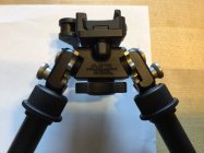 IMG_0167.jpeg
