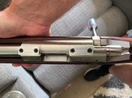 IMG_0686.jpeg