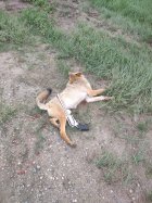 IMG_20240828_114637934.jpg