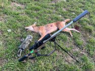 IMG_2549.jpeg