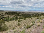 IMG_0119.jpeg
